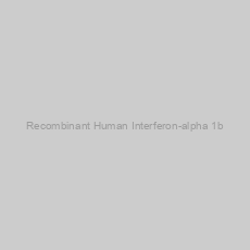 Image of Recombinant Human Interferon-alpha 1b